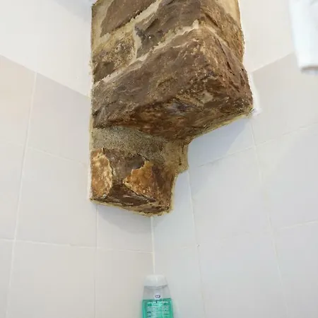 Apartament Nerii 3 *